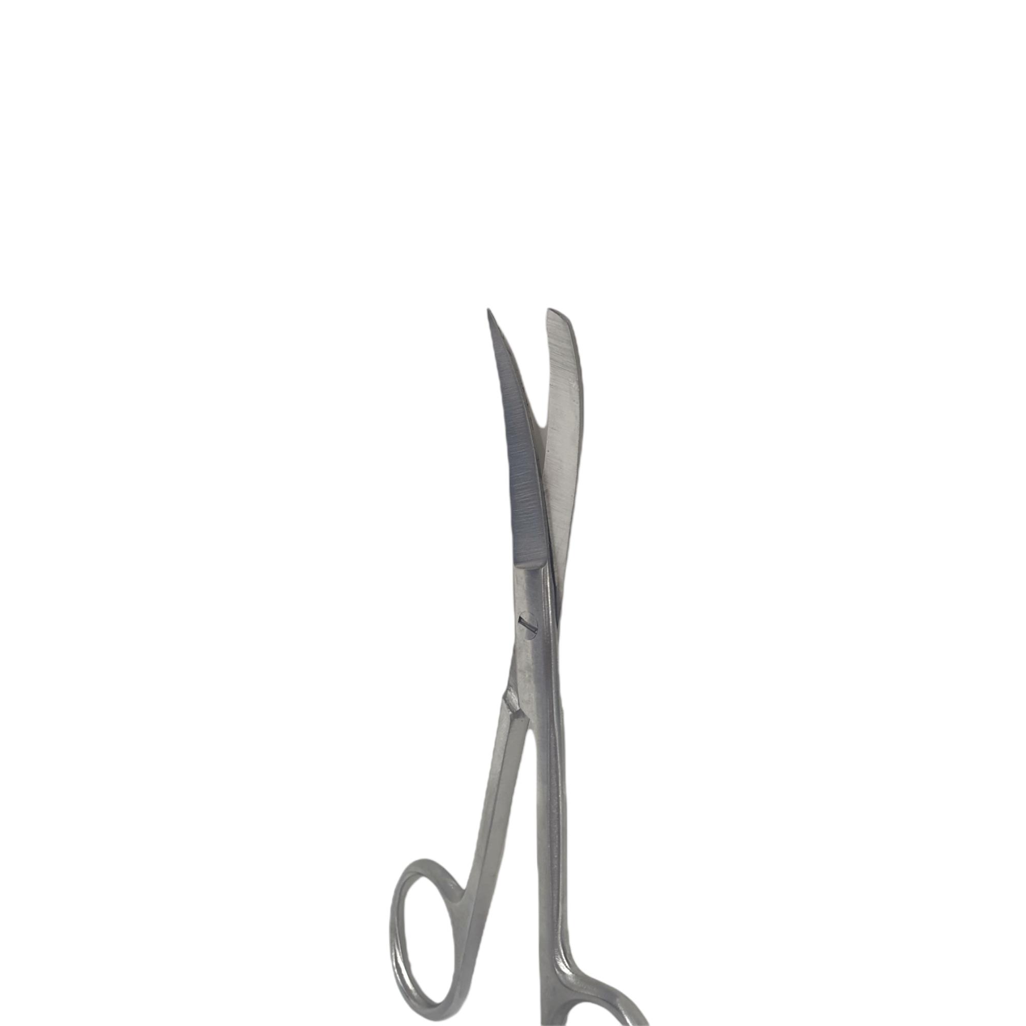 Archer Pansuman Makası Eğri (küt,sivri) 14 Cm