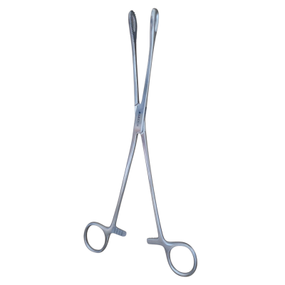 Archer Over forrester Pensi 24 Cm